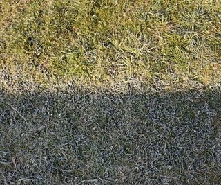 A frozen lawn in winter