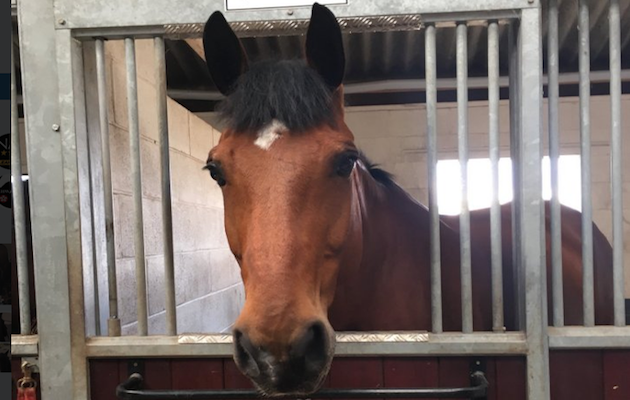 Quantock-photograph.png