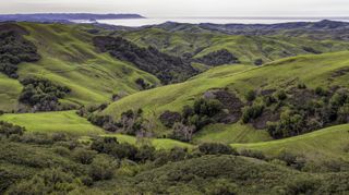 Green rolling hills in Paso Robles, California