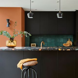 kitchen with black cabinets and granite worktop with plant on jar