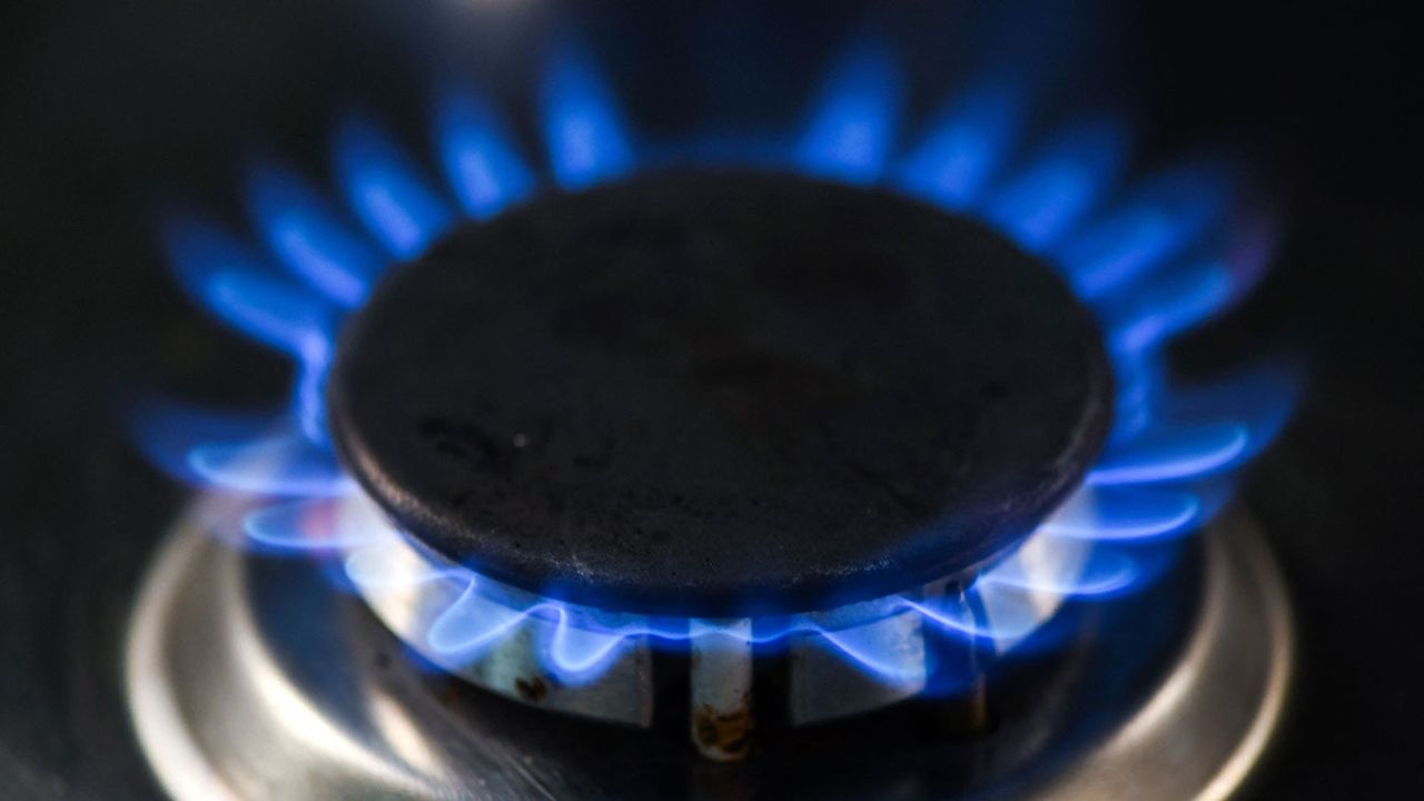 Gas hob ring burner