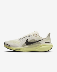 Nike Pegasus 41 - Men's