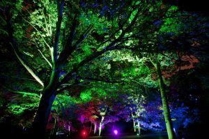 Royal Botanic Garden Edinburgh, Festive Trails