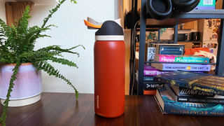 an owala freesip water bottle photographed on the author's desk with a fern and a stack of book sin the corners