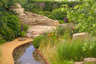 small stream and wild planting in design by Helen Elks-Smith