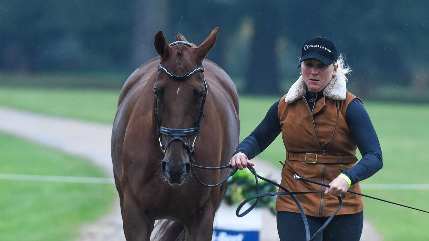 Blenheim Horse Trials trot-up: Gemma Stevens and Jalapeno III