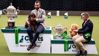 Winners of Crufts Dog Show 2022