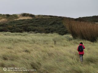 Huawei Mate 40 Pro camera