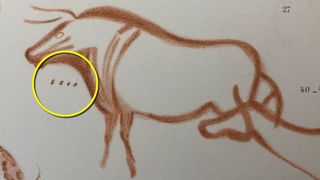 An annotated image of a roughly 23,000-year-old painting showing four dots associated with a red ochre drawing of an aurochs in La Pasiega cave in Cantabria, Spain.
