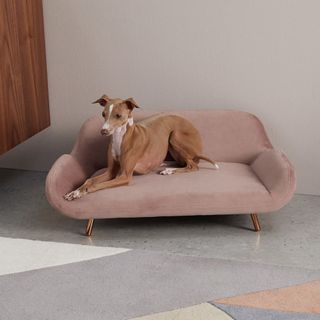 Moby Pet Sofa – Made.com