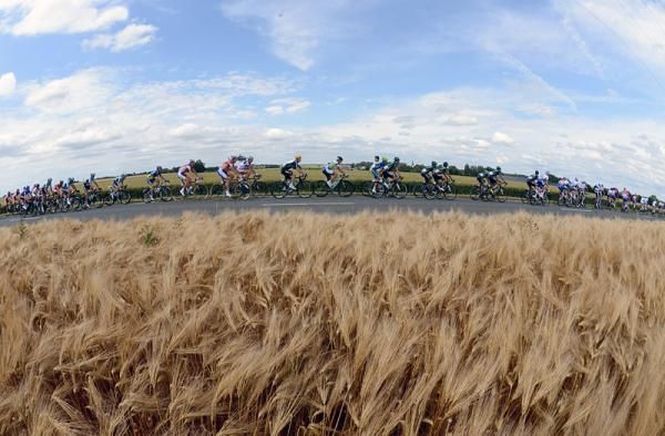 The peloton in action during stage 5, 196.5km from Rouen to Saint-Quentin.