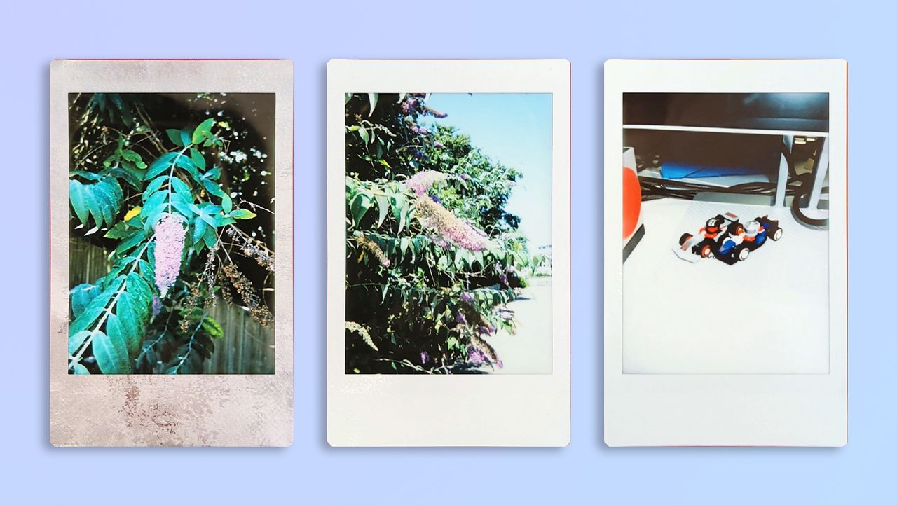 A photo taken and printed on a Fujifilm Instax mini 13 instant camera