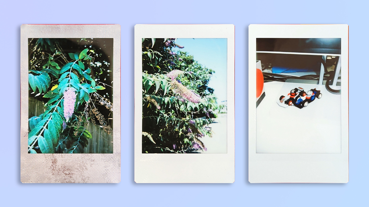 A photo taken and printed on a Fujifilm Instax mini 13 instant camera