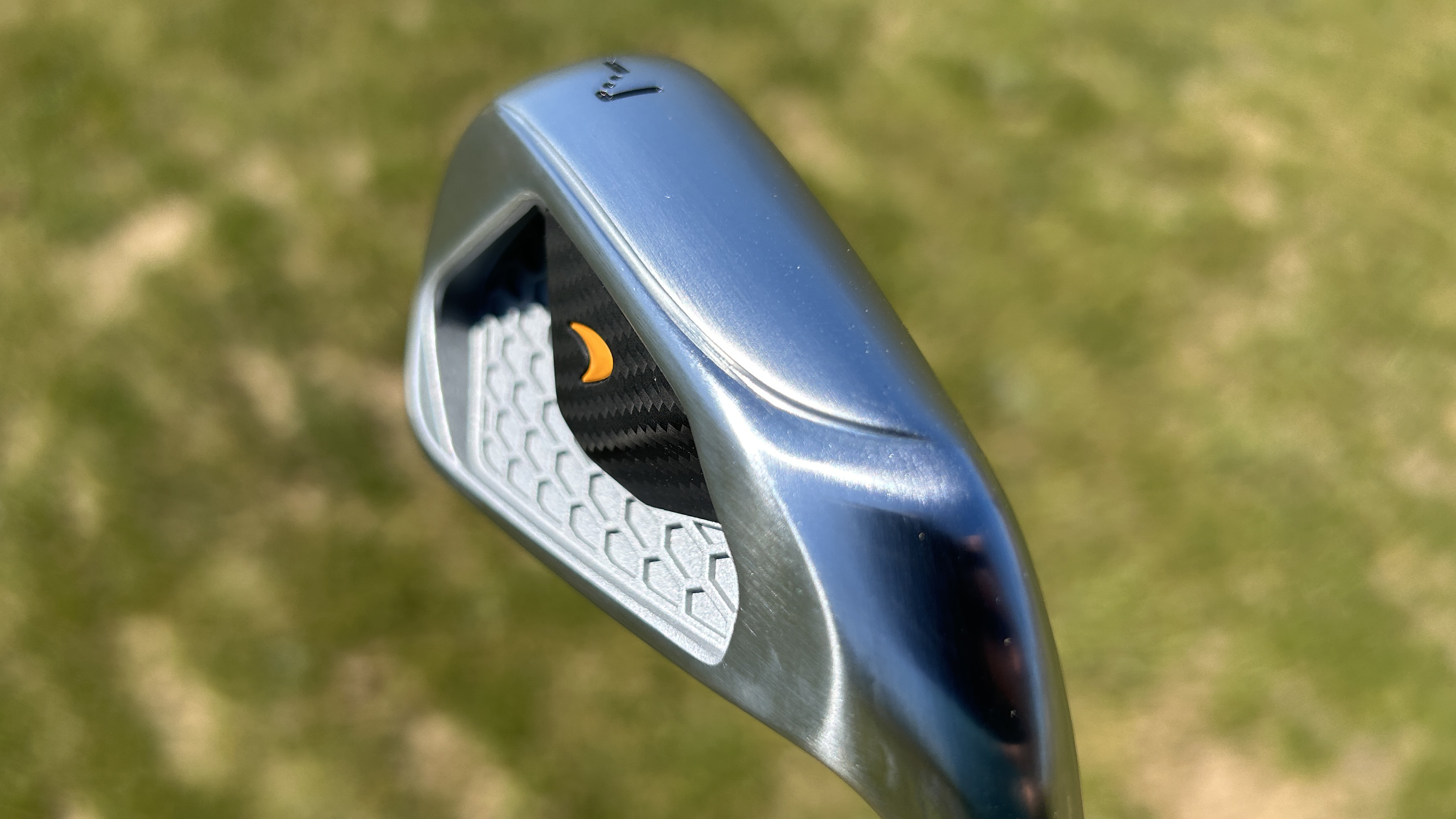 Photo of the sole on the iron