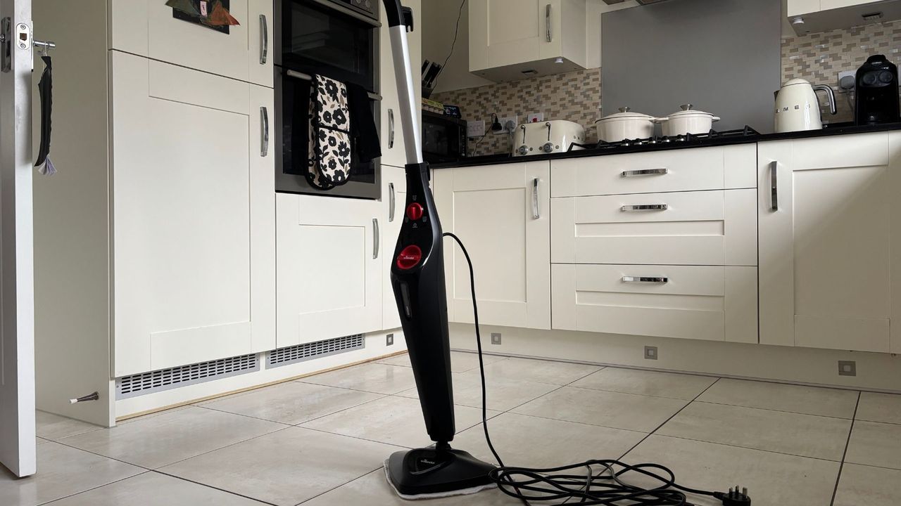 Testing the Vileda Steam Plus Steam Cleaner