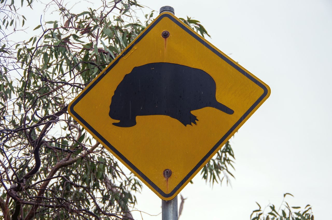 a yellow street sign with the silhouette of an echidna