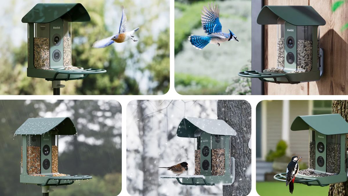 Finally, a bird feeder camera with 4K video, plus it has some handy features for any garden