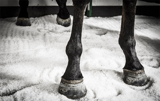 salt therapy