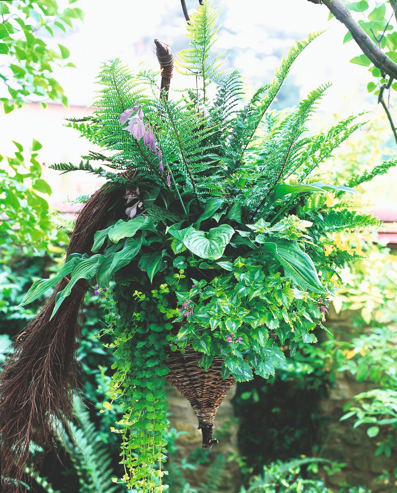 Hanging basket ideas 16 designs to make yours stand out from the crowd