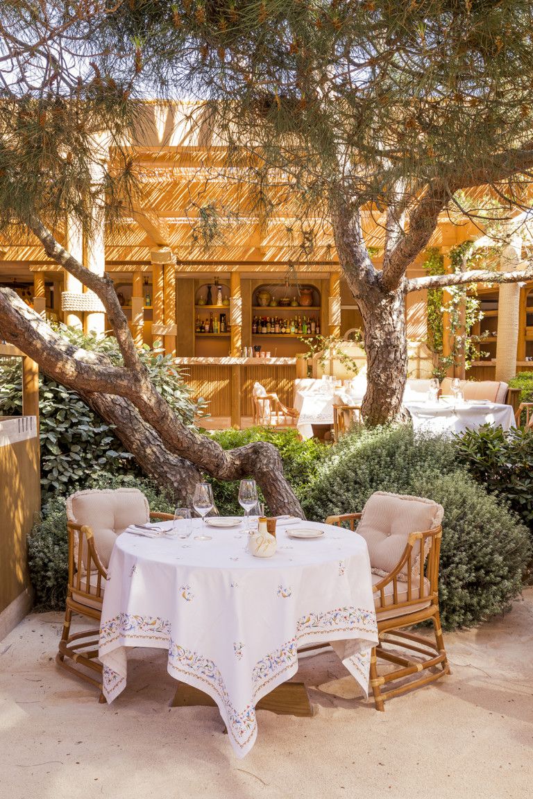 A sun-lit outdoor dining area features modern rustic and mid-century modern inspired furniture including a table and two armchairs against pine trees and a golden-hued facade.