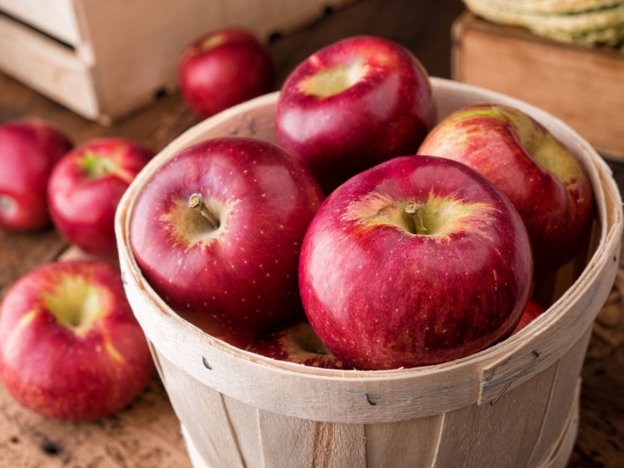 Bucket Full Of Cortland Apples