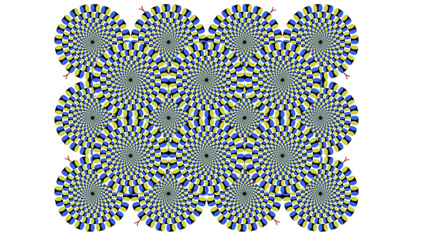 Rotating snakes optical illusion
