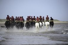 APOLOND-2017-0115-Household-Cavalry-In-Norfolk-624.jpeg