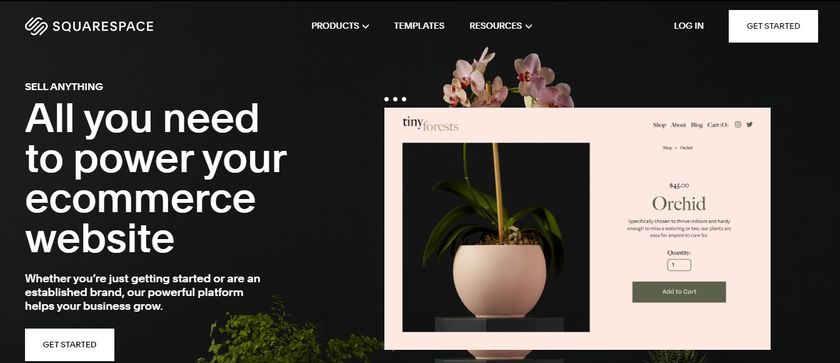 Website screenshot for Squarespace