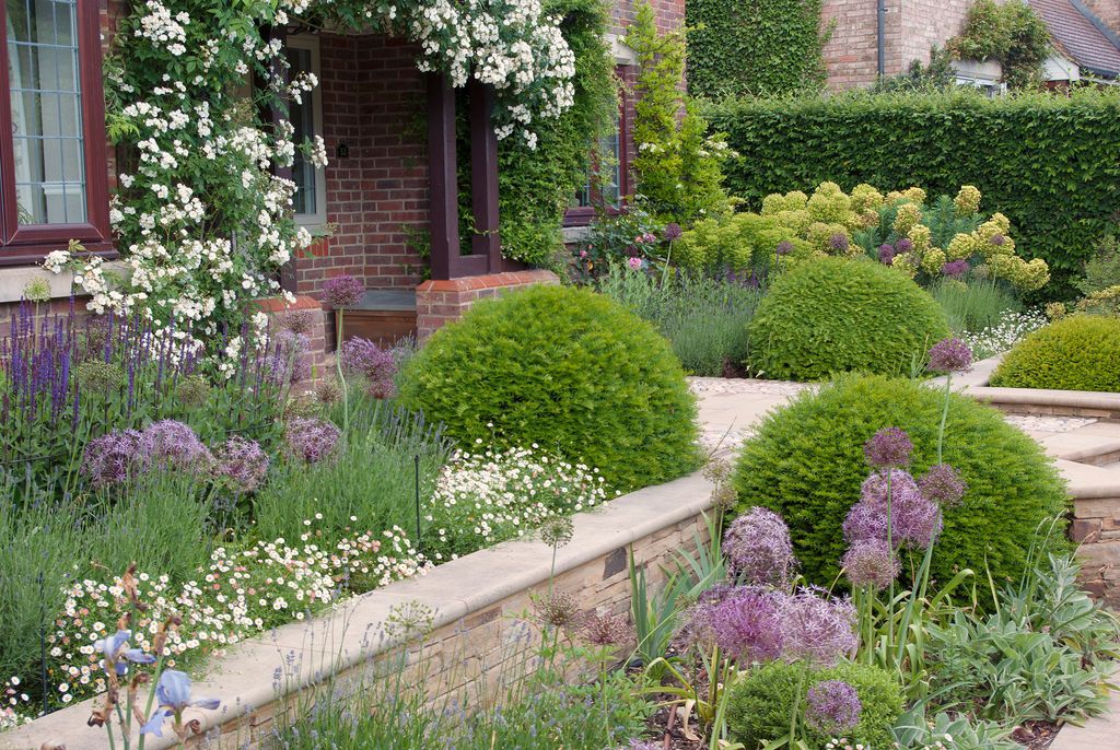 Landscaping With Lavender 16 Ways To Use This Classic Gardeningetc