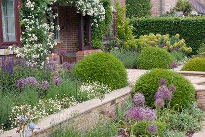 Landscaping with lavender: 16 ways to use this classic | Gardeningetc