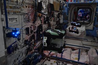 NASA's Astrobee robots assisting with an experiment on the International Space Station.