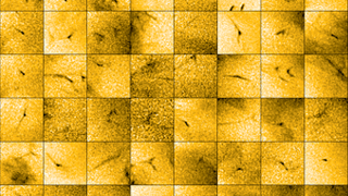 A mosaic of images showing black solar jets on the yellow background of the sun