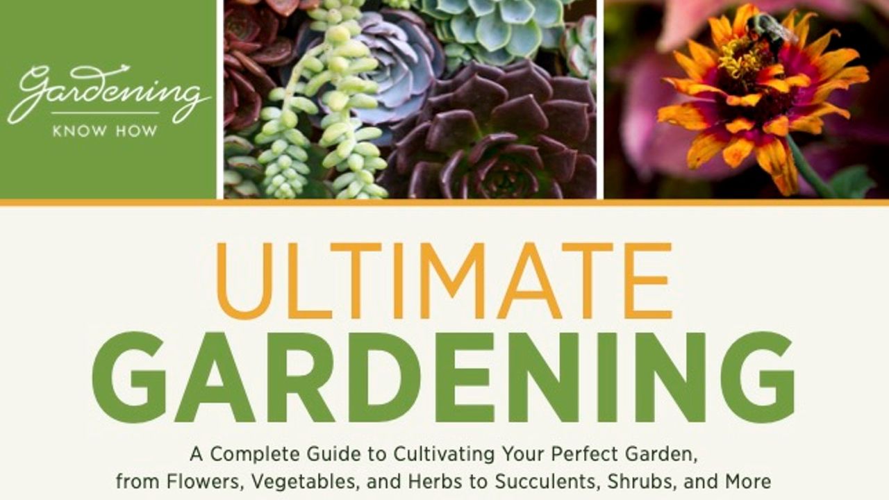 Succulents and an orange flower. The text reads ULTIMATE GARDENING