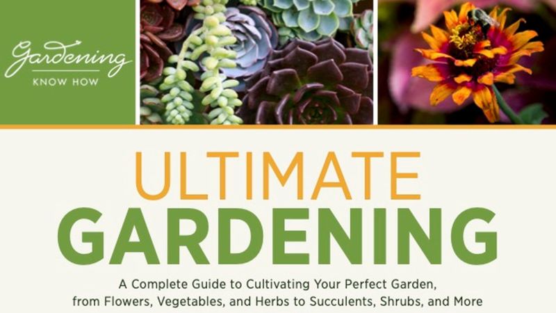 Articles by Liz Baessler | Gardening Know How
