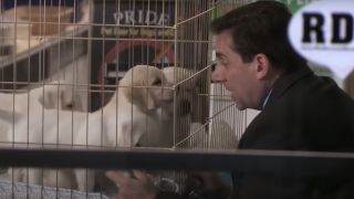 Michael talking to a puppy in The Office