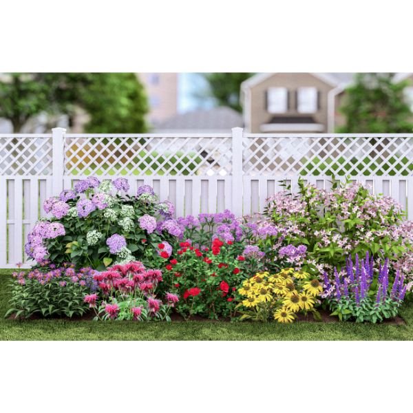 Plants That Work for a Summer Cut Flower Garden - Plant by Numbers - Plant Pack