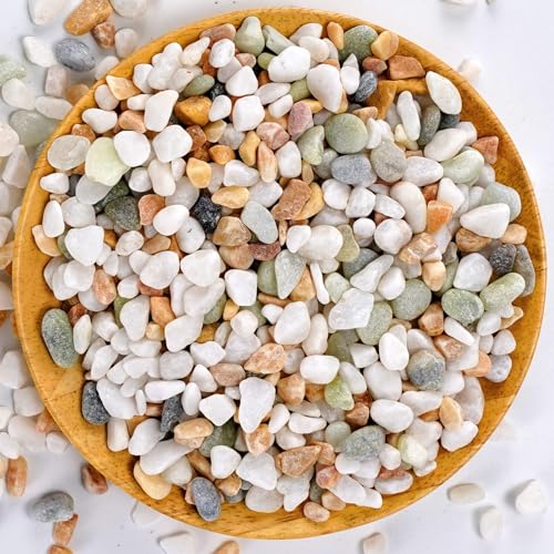 Mixed Color Decorative Rocks Stones Pebbles for Plants Garden Gravel White Rocks With Yellow, Green Pastel Accents Vase Filler Rocks Natural Stone Top Dressing for Potted Plants Succulents 2.2 Lbs