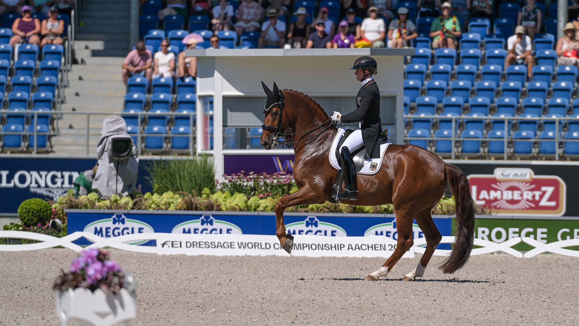 Katharina Hemmer of Germany riding Denoix PCH in the grand prix at the 2026FEI Dressage World Championship in Aachen