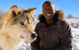 Presenter Patrick Aryee heads to the Americas to show what a versatile and well-adapted family canines are.