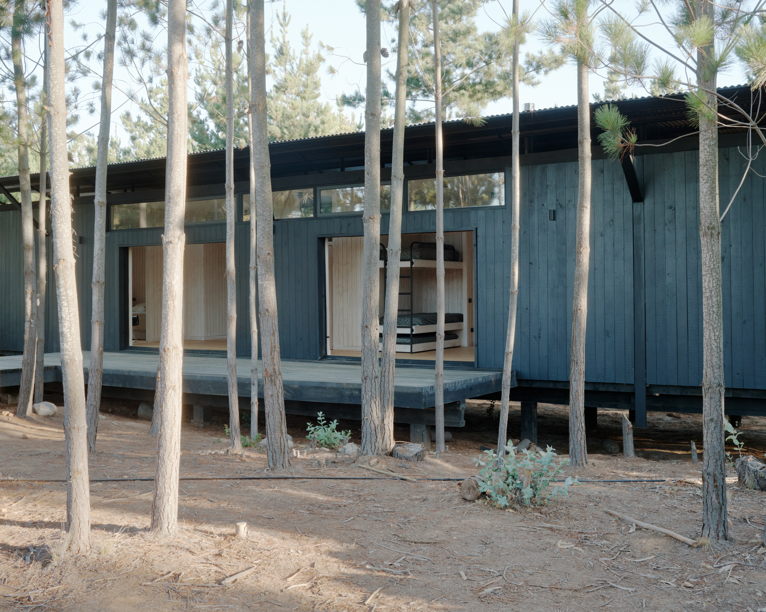 Dharq Arquitectos