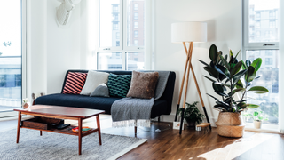 Living room with dark wooden floor boards