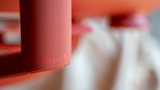 Branch Verve in coral in a living room
