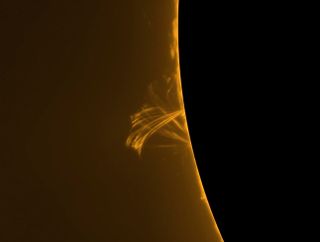 Solar Prominence, Dec. 31, 2013