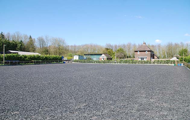 arena