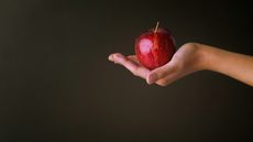 A hand holding a red apple