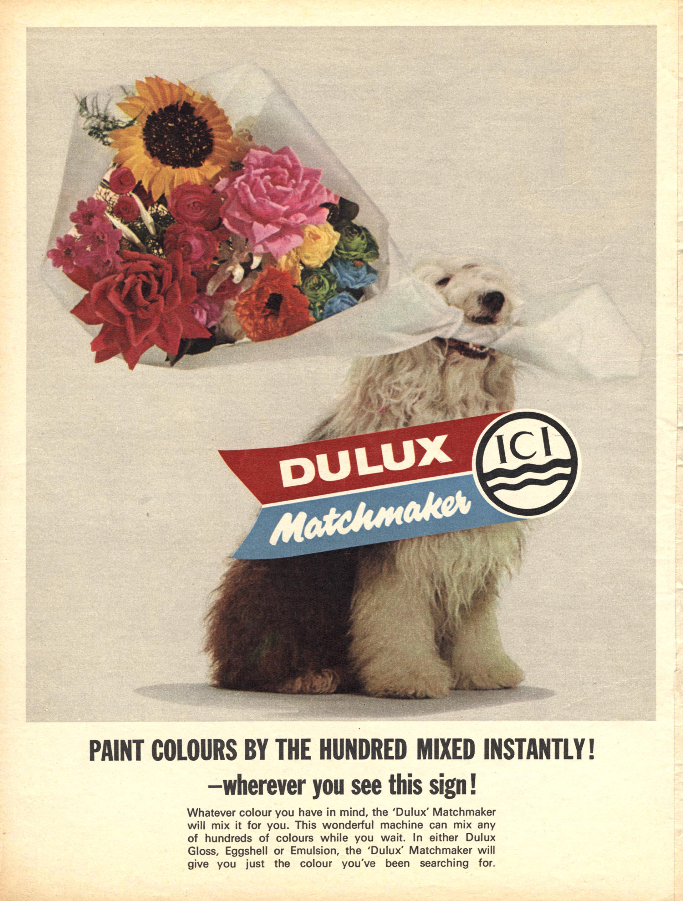 A series of vintage Dulux advertisements featuring old English sheepdogs: painted dog kennels shown in different colours and seasons; a sheepdog carrying a bouquet of flowers in its mouth for the “Dulux Matchmaker” campaign; a sheepdog sitting in a warmly decorated living room promoting calming interior shades; a sheepdog peering over a bright red gate beside text about home protection; and a close-up of a sheepdog’s face next to a blue door under the headline “Our pedigree.”