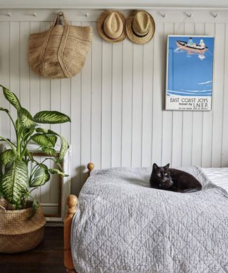 A black cat sat on a bed with a grey quilt in front of a wood panelled wall with pegs, with a rattan bag, two hats and a bright vintage style poster hanging up and a large houseplant in a wicker basket at the end of the bed