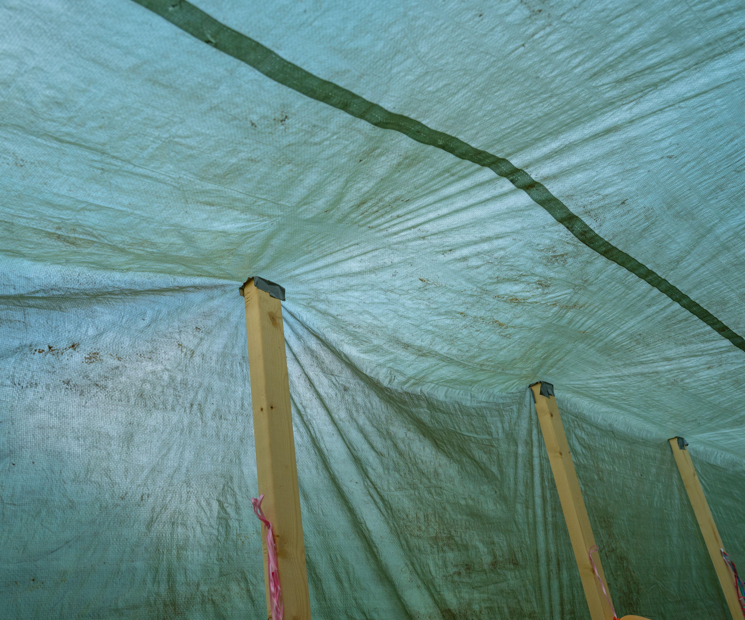 A green tarp is being held up by wooden plants to create a cover