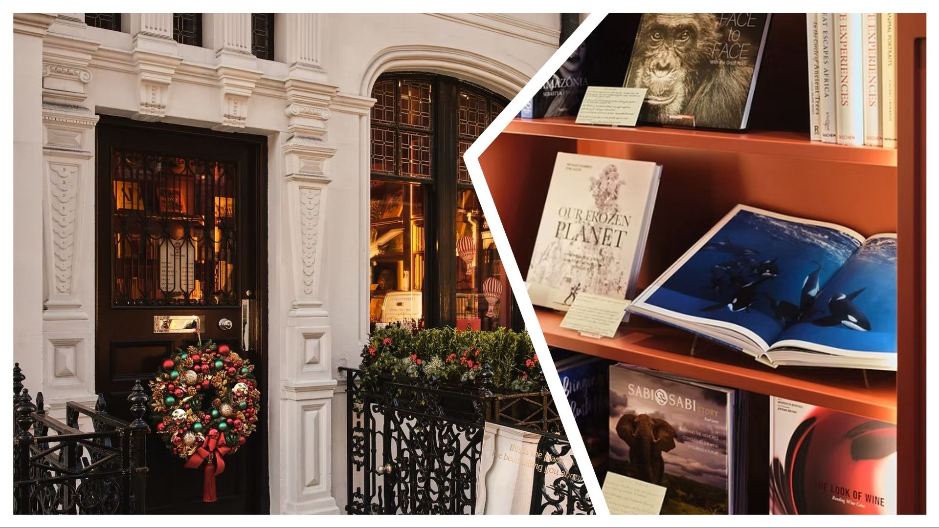 Around the world in 80 books: Beautiful travel-focussed bookshop opens in London's Marylebone