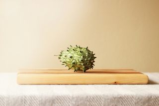 a melon sat on a wooden cutting board